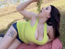 Picnic In The Park